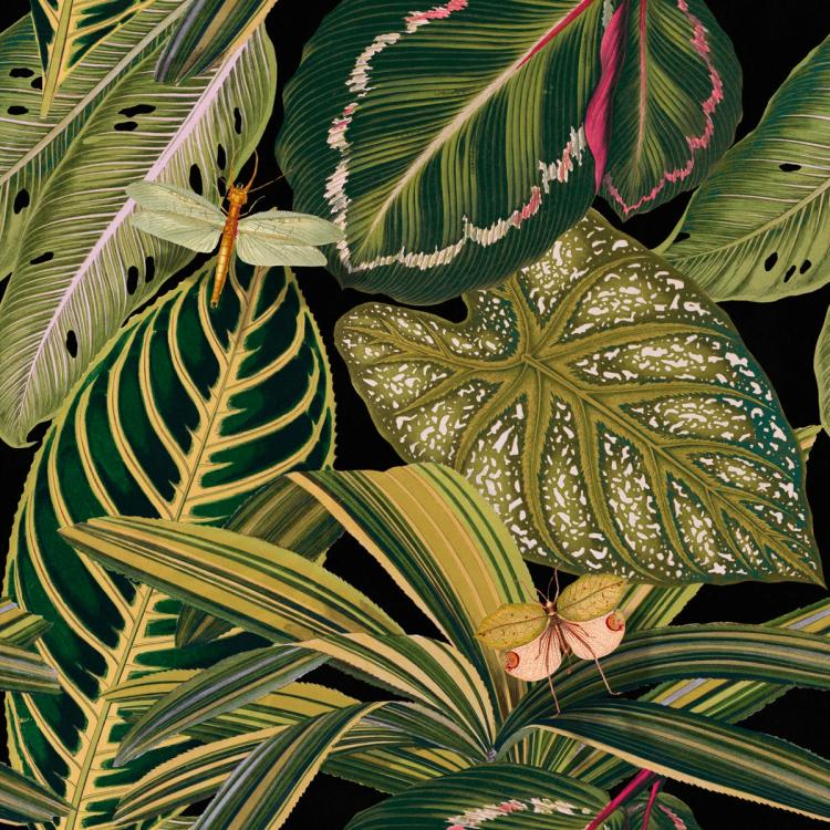 Amazonia Wallpaper /Wp20159  |   Wallpaper On The Wall green