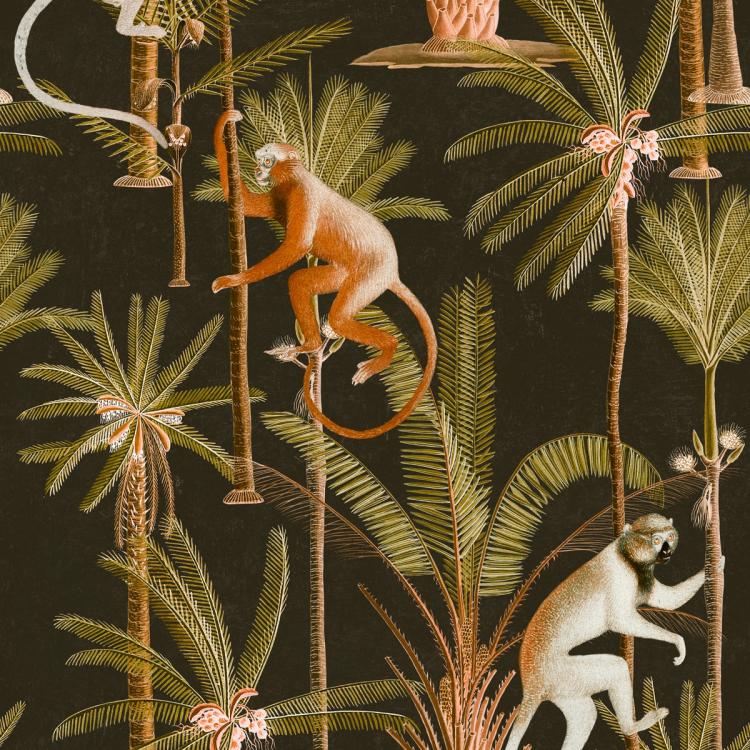 Barbados Monkey Wallpaper  |   Wallpaper On The Wall Anthracite