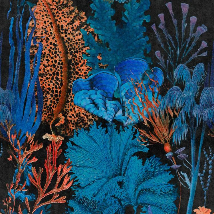 Coral Reef Wallpaper  |   Wallpaper On The Wall Blue