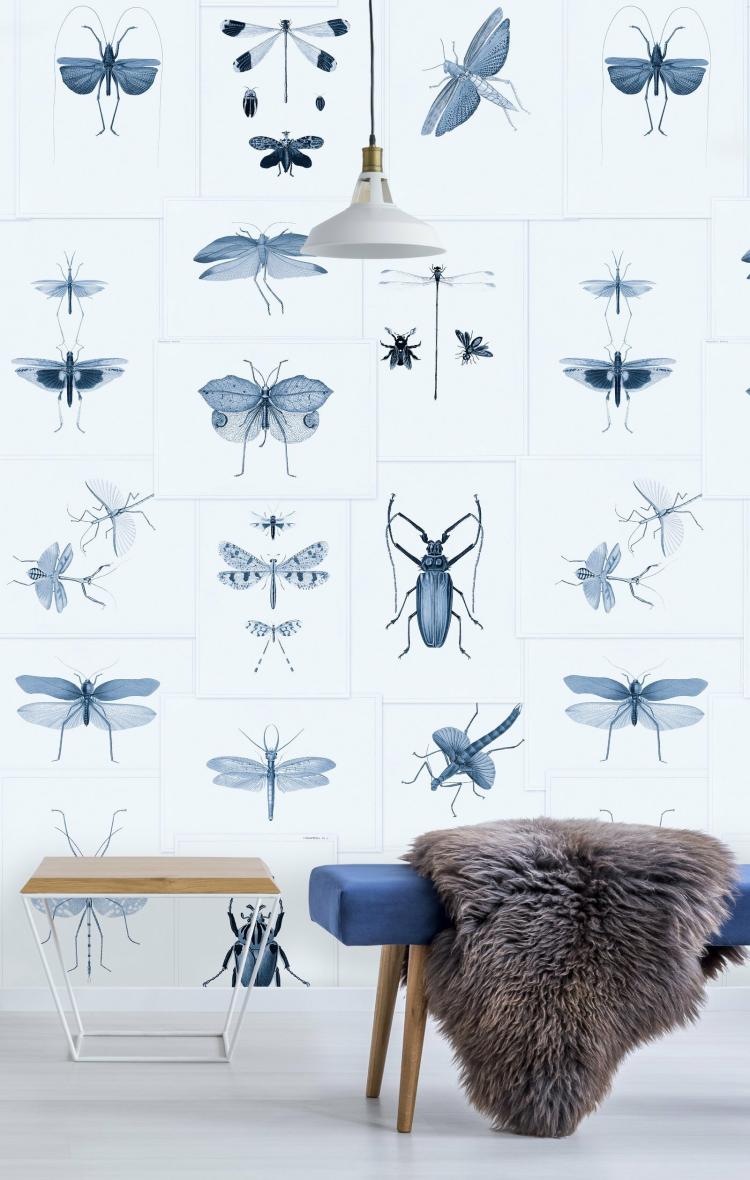 Entomology Insects Wallpaper  |   Wallpaper On The Wall Blue