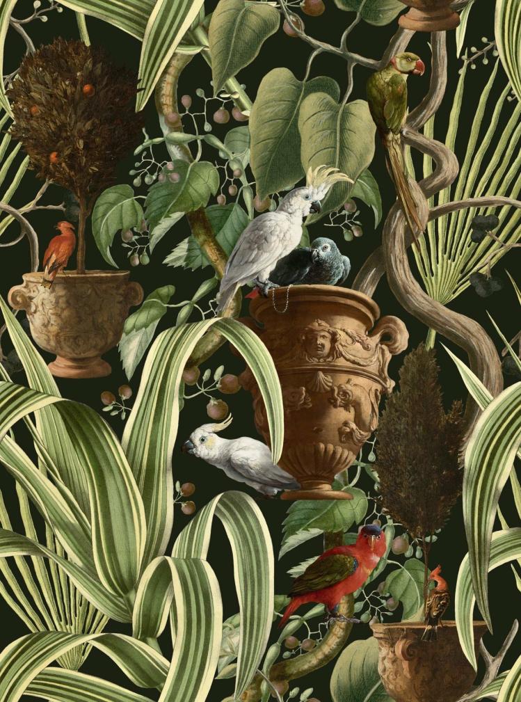 Exotic Menagerie Wallpaper  |   Wallpaper On The Wall Dark