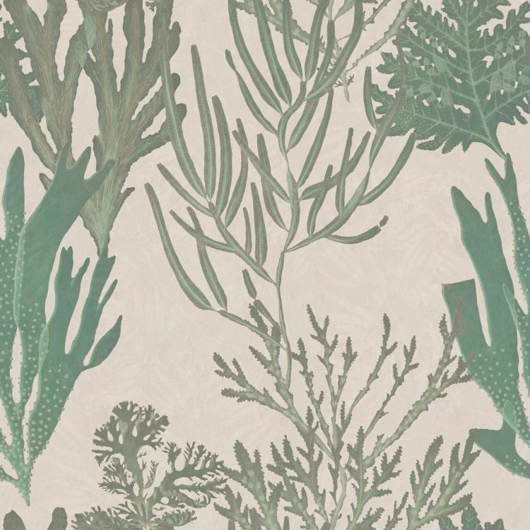 Light Corals Wallpaper  |   Wallpaper On The Wall Light Grey