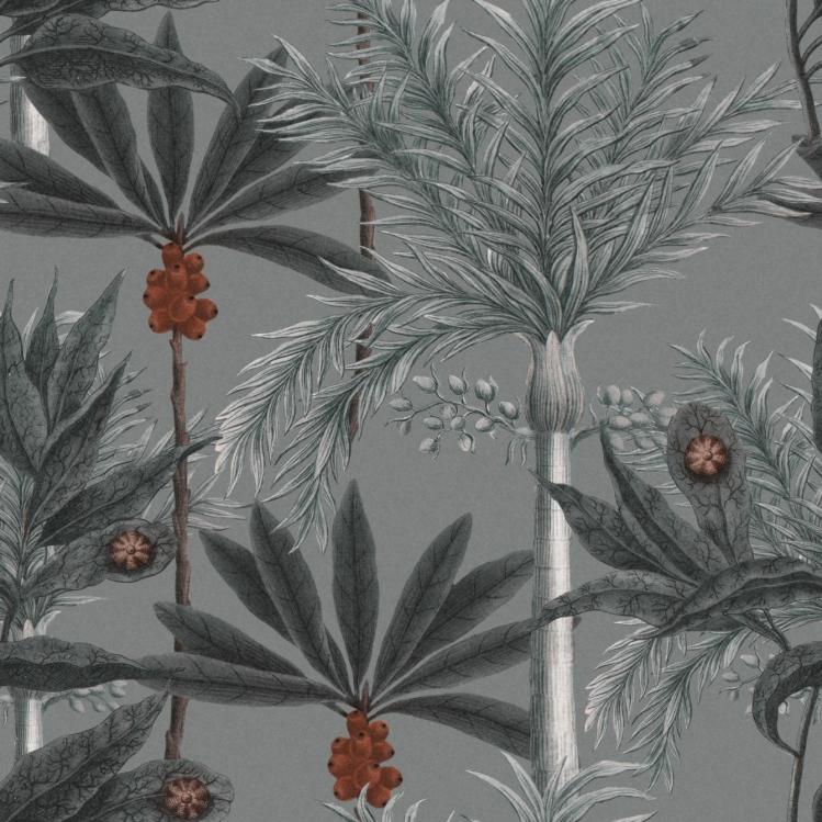 Madagascar Wallpaper  |   Wallpaper On The Wall green