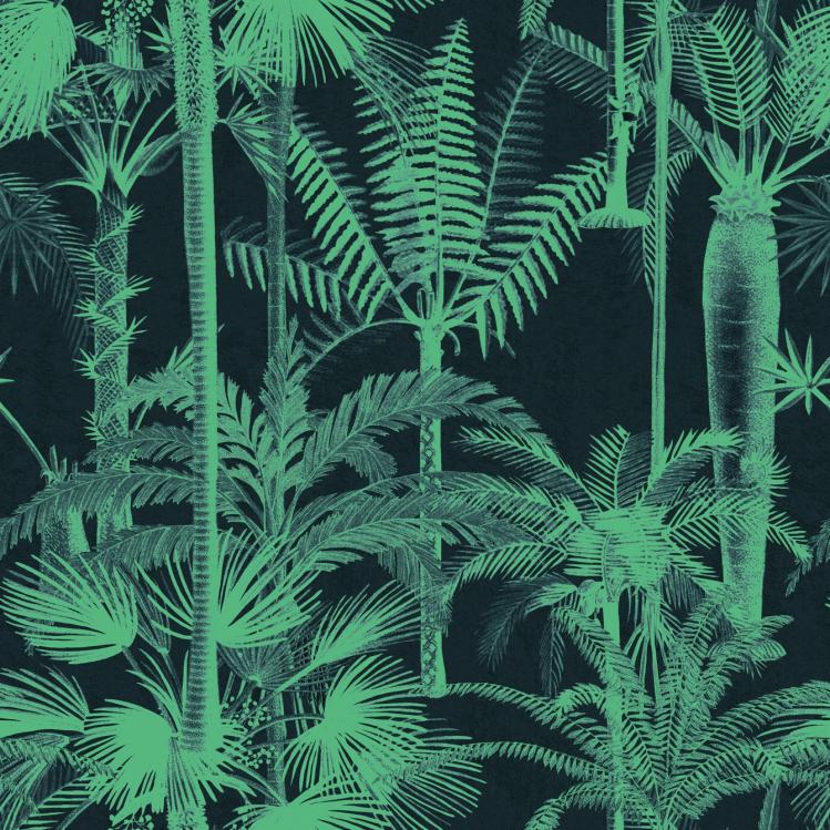 Palmera Cubana Wallpaper  |   Wallpaper On The Wall Dark