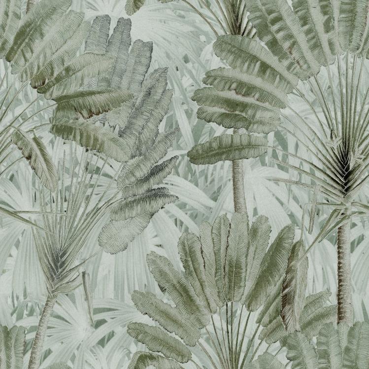 Traveller’S Palm Wallpaper  |   Wallpaper On The Wall green