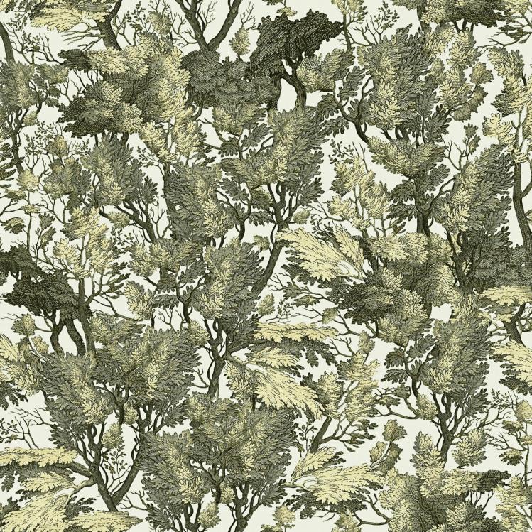 Tree Foliage Wallpaper  |   Wallpaper On The Wall Wallpaper