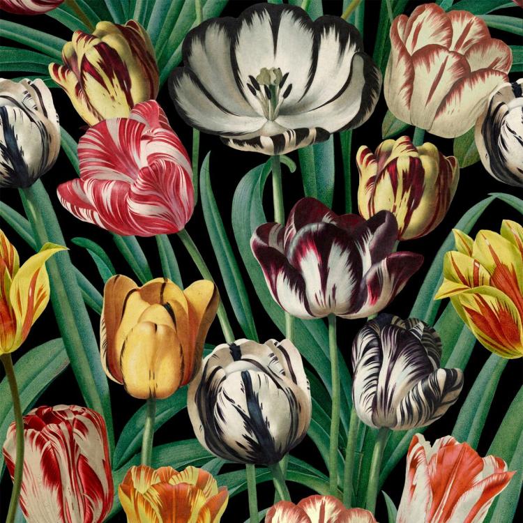 Tulips Wallpaper  |   Wallpaper On The Wall Dark